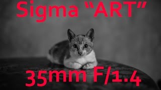 Sigma AF 35mm f/1,4 DG HSM Art (11356) - відео 6