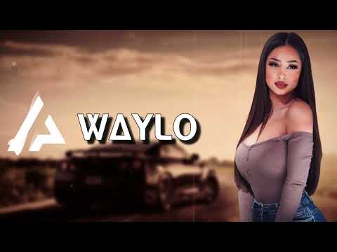 Arabic Remix   Waylo Laziz Azimov & Hayit Murat Remix ｜ ريمكس عربي   وايلو 2021