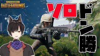 【PUBG】ハヤ公の初ドン勝試合【犬上ハヤト】