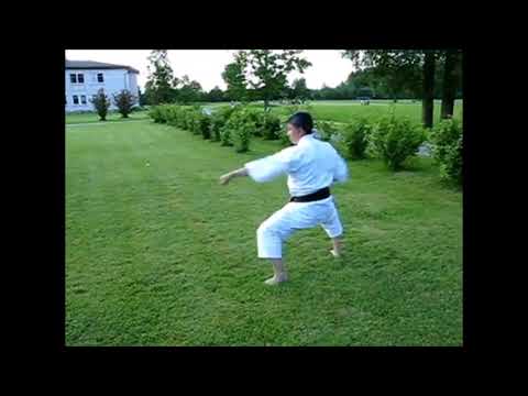 Pinan Godan Motobu Ha Shito Ryu