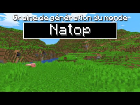 What does the "Natop" seed look like on Minecraft Beta?