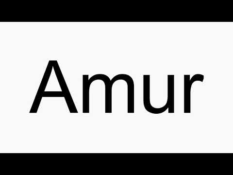 How to pronounce Amur