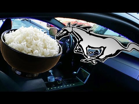 RiceStang /w Underglow? (Ricer Mustang?)