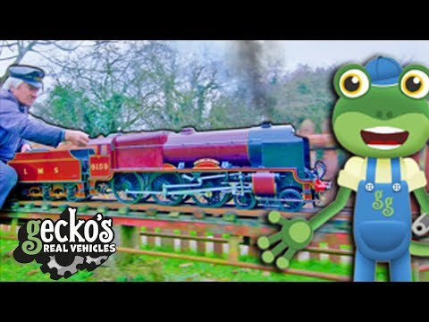 Gecko And The MINI TRAIN Gecko's Real Vehicles | Real trains For Kids | Learning For Kids