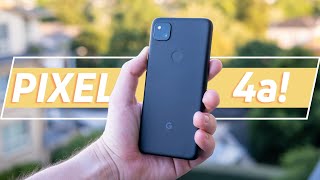 Google Pixel 4a review: The BEST Pixel phone??
