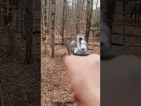 Best shot of  Deer with Revolver #hunting #deer#moose#chasse