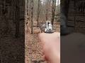 Best Shot Of Deer With Revolver Hunting Deer Moose Chasse