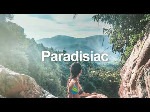 Polaroid - So Damn Beautiful