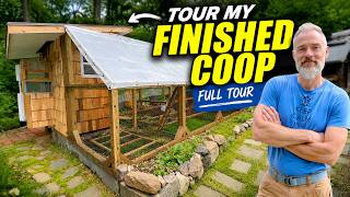 Tour My Finished Chicken Coop (While it's CLEAN)