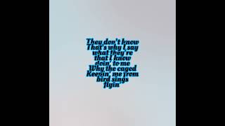 Alicia Keys - Caged Bird (Lyrics)