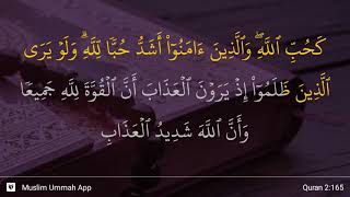 Download lagu Al-Baqarah ayat 165 mp3