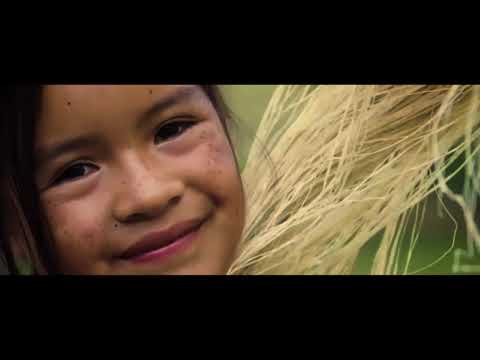 Winjons WS - Cypher Effect - ( Prod. By Kraibal )