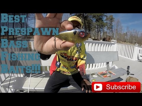 Best Prespawn Bass Fishing Baits