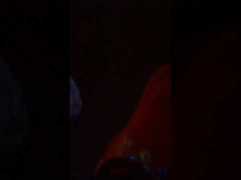 Young6ix~Done freestyle