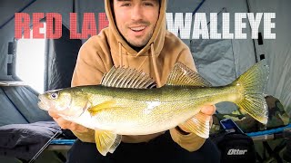 Best Tips for Walleyes on Upper Red Lake (First Ice 2023)