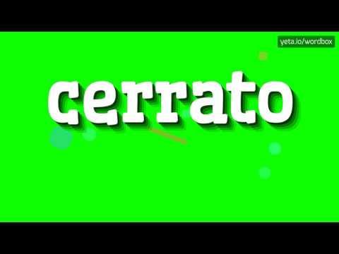 CERRATO - HOW TO PRONOUNCE IT!?