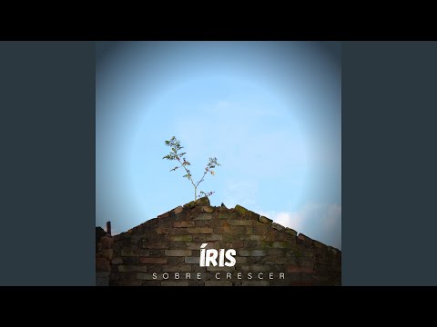 Ao Mentor - Grupo Íris