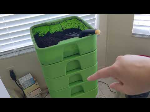 Hot Frog Living Composter - Year 1 Day 7 - Feeding and Considering Bin Splitting - Vermicomposting