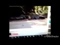 Cartoon Screams V13