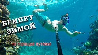 Египет отдых Шарм эль Шейх зимой. Горящие туры.