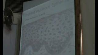 Dr.Dalia - Academic Support - 25/12