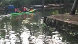preview picture of video 'Kerala Backwater Kayaking'