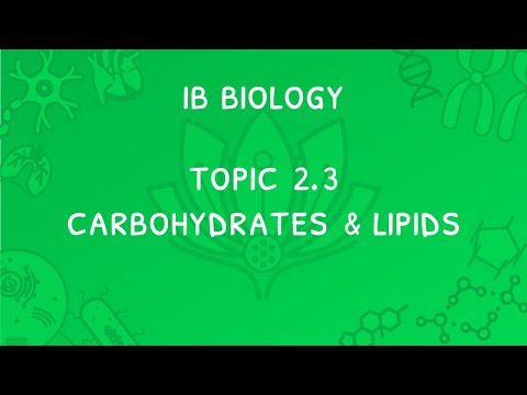 IB Biology Topic 2.3: Carbohydrates & Lipids