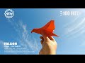 BEST  FLYING PAPER BIRD- How to make an origami bird that Flies Far | Falcon