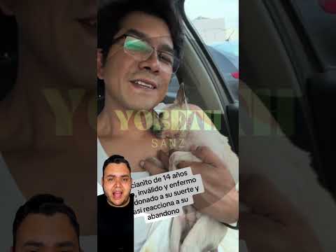 #Man rescues 15-year-old dog #pets #petlover #dog #viral