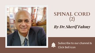 Dr. Sherif Fahmy - Spinal cord (2)