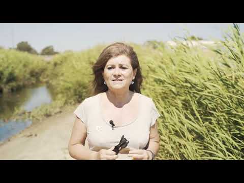 Nuovissimo Progetto italiano 3 - Inquinamento e tutela ambientale