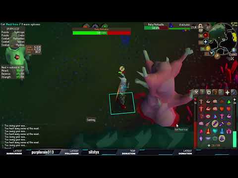 Will Chambers please give me a unique!!! - IM CoX KC 249 !tbow !discord