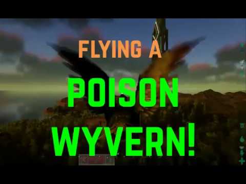 FLYING A POISON WYVERN!
