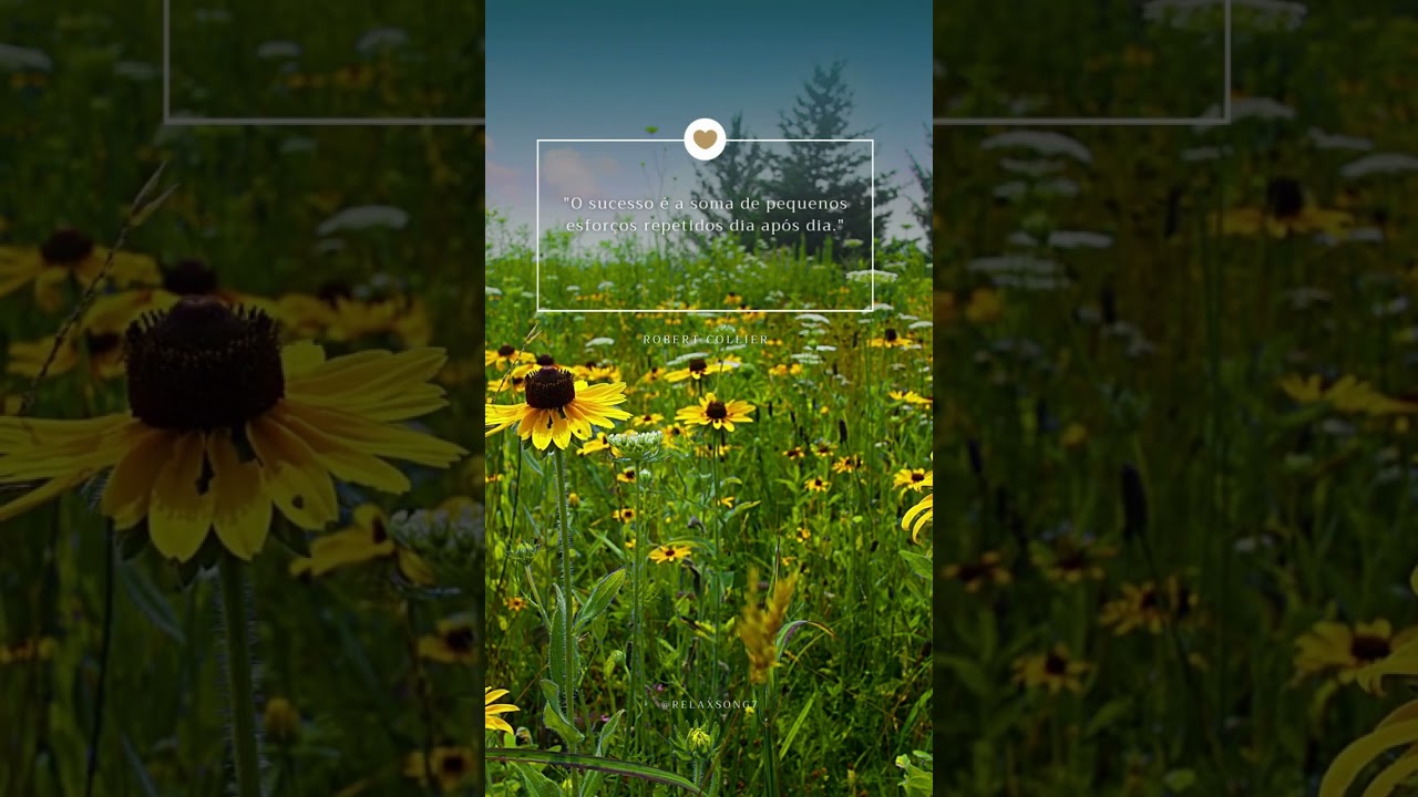 O sucesso é a soma de pequenos esforços repetidos dia após dia