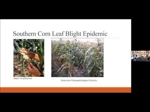 Sugarbeet Research Reporting Session - January 12, 2021 - Session 4