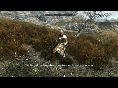 "Special Dialogue With Thief If You Are Nightingale....."