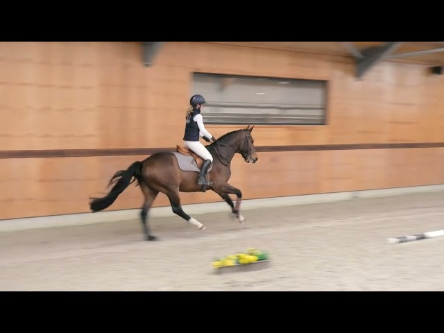 Under the saddle