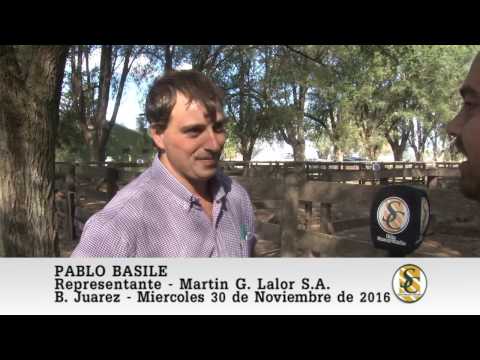 30-11-16 Nota Pablo Basile - Martin G. Lalor S.A. - B. Juarez.