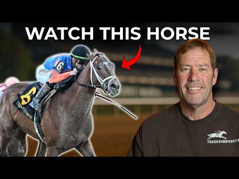 This Horse Can Win The Travers