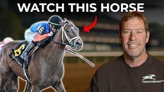 This Horse Can WIN the Travers
