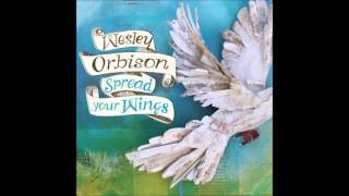 Wesley Orbison - Goodbye Ain't Always Bad