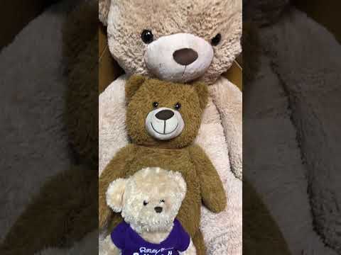 Teddy bear family #shorts