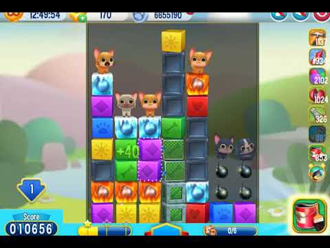 Pet Rescue Saga   Level 6229  no boosters