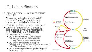Ch 21 Nutrient Cycles