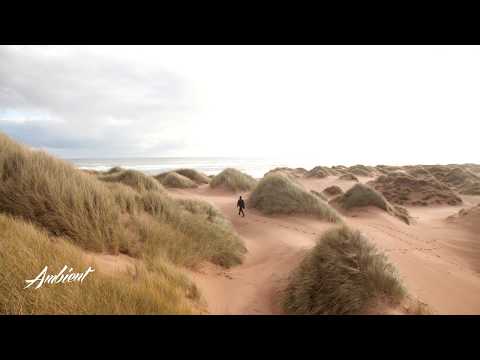 Josh Leake - Chapters