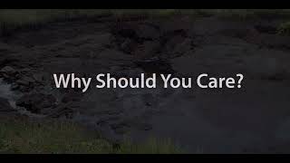 Permafrost Lab Video