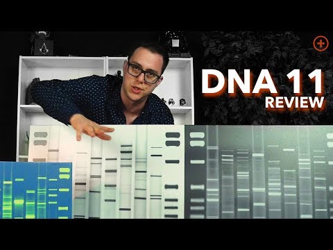 DNA Portrait