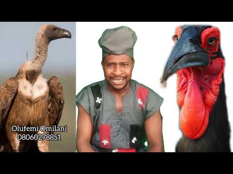 ITAN EYE IGUNUGUN ÀTI AKALAMAGBO