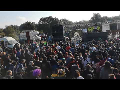 Birthday kryptotek poivro vvf alien kick 👆live DMS