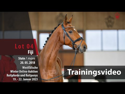 Winter Online-Auktion Training Lot 4 Fiji Stute v. Franklin - Don Vino
